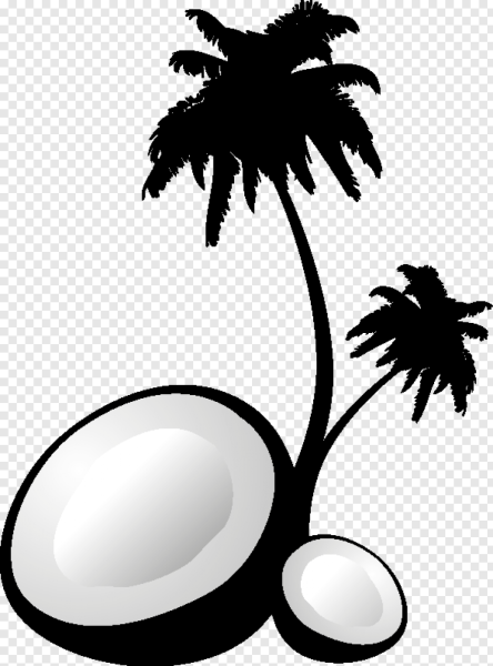 Кокос вектор черно белый