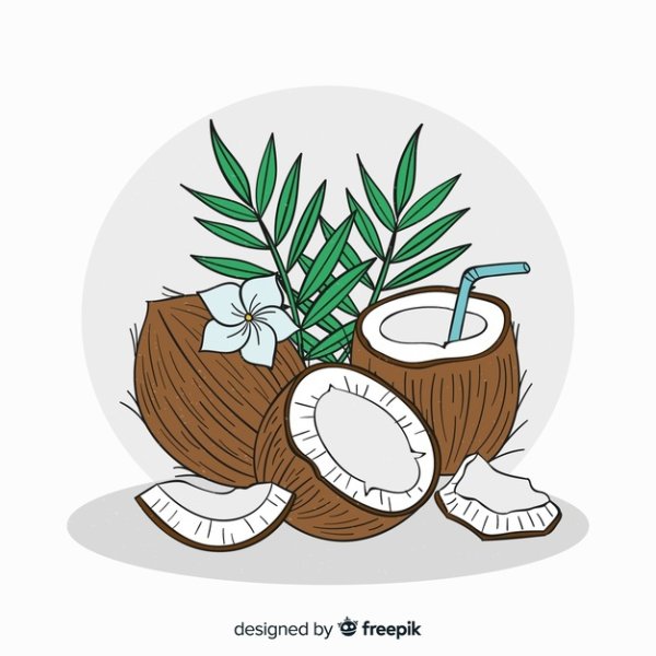 Кокос для срисовки