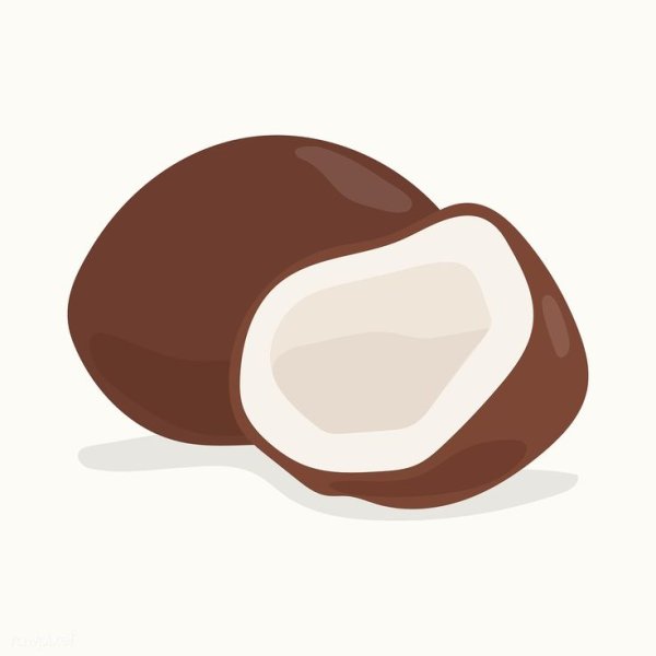 Кокос нарисованный