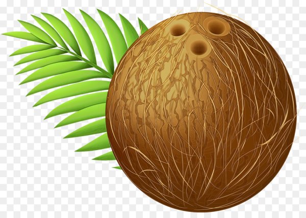 Мультяшные кокосы