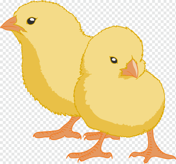 Нарисовать цыпленка