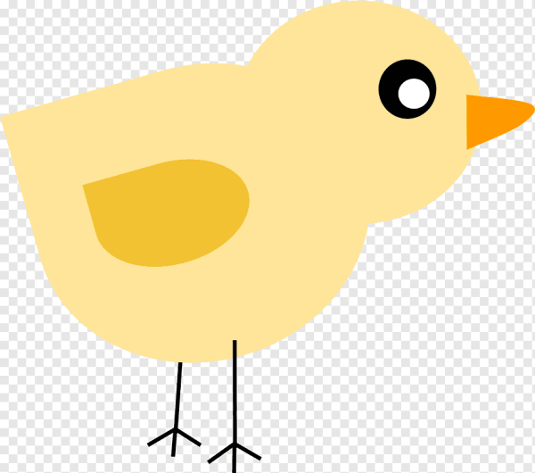 Векторное изображение цыпленка