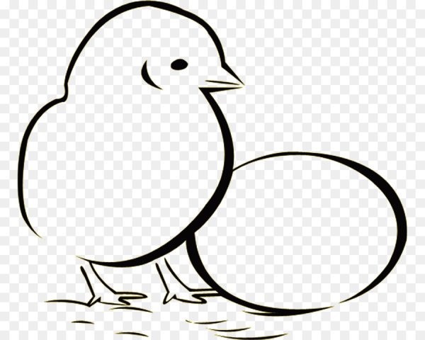 Птенец вектор