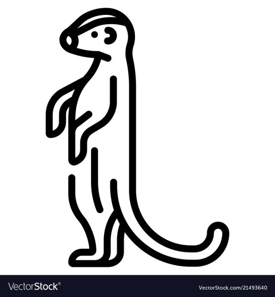 Сурикат значок