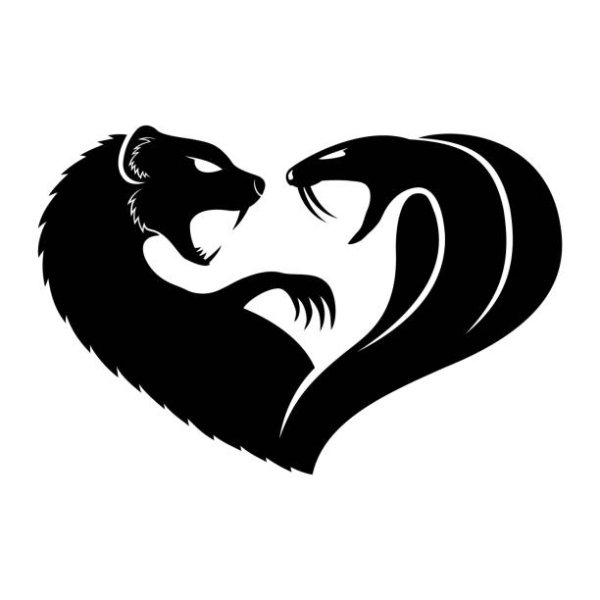 Мангуст эскиз