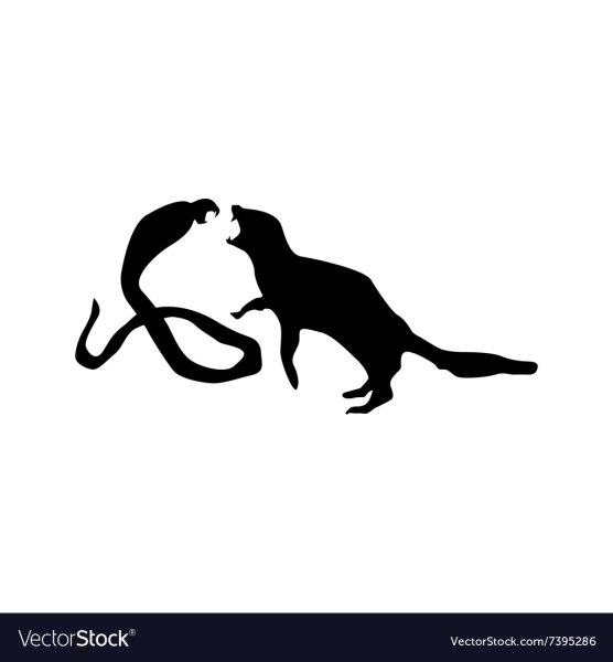 Силуэт суриката