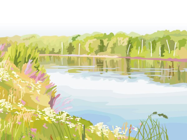 Рисунки природы