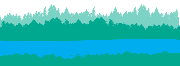 Лес озеро вектор