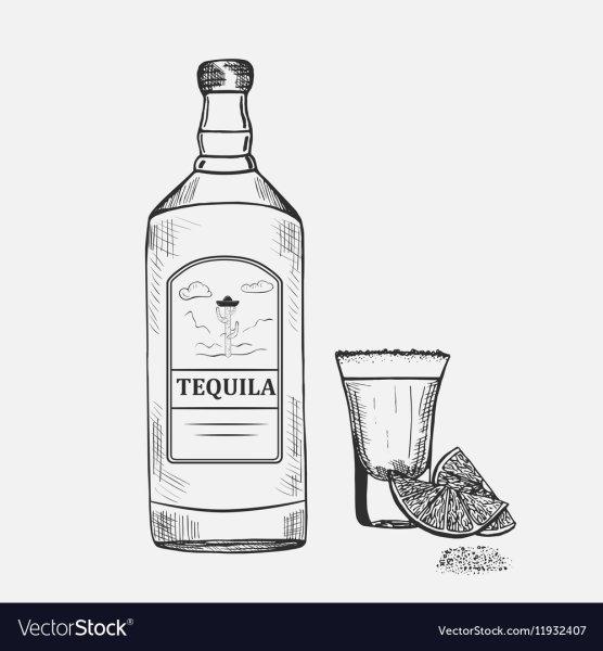 Текила вектор