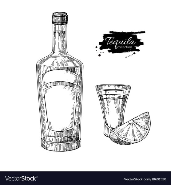 Бутылка текилы вектор