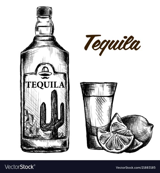 Текила Графика