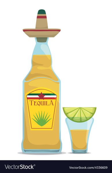Текила рисунок