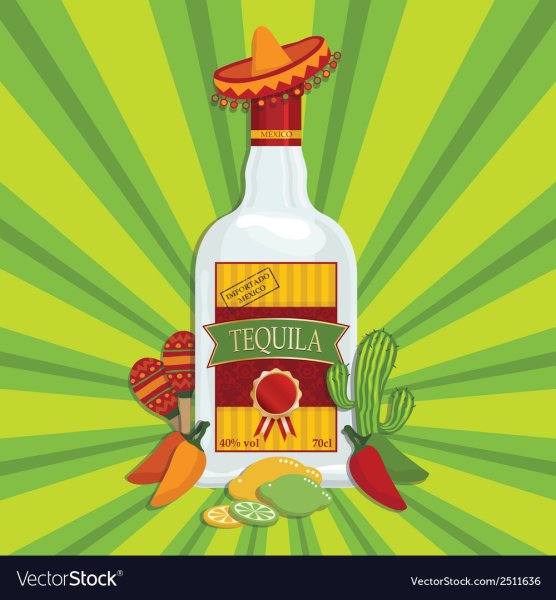 Бутылка текилы вектор