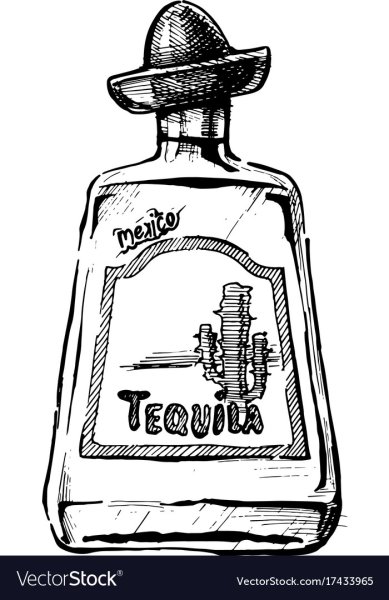 Текила эскиз