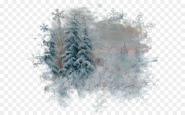 Новогодний лес акварель