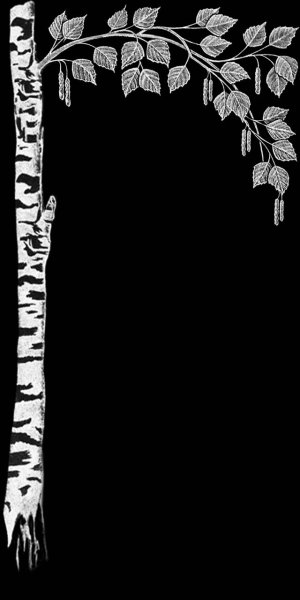 Березка для гравировки на памятниках