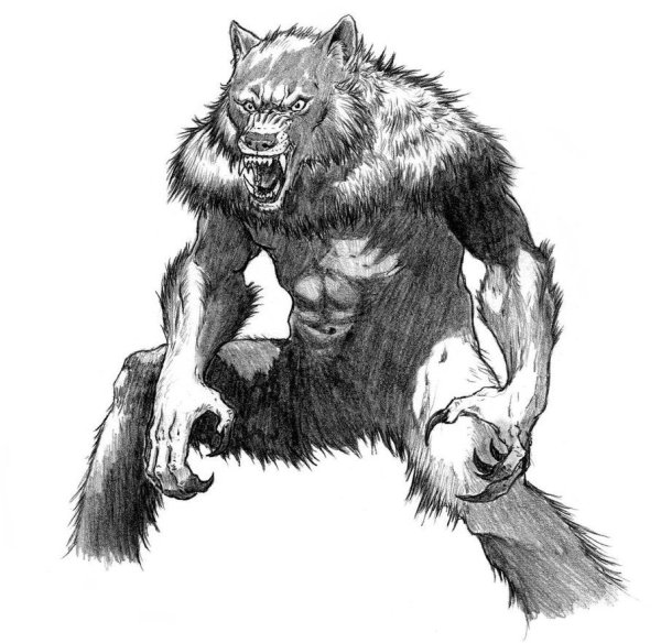 Эмили Адамсон Вервольф