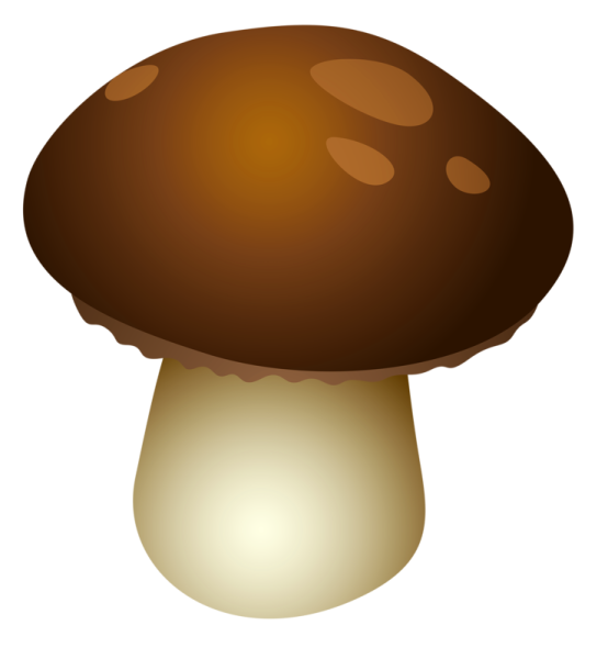 Грибочки для детей