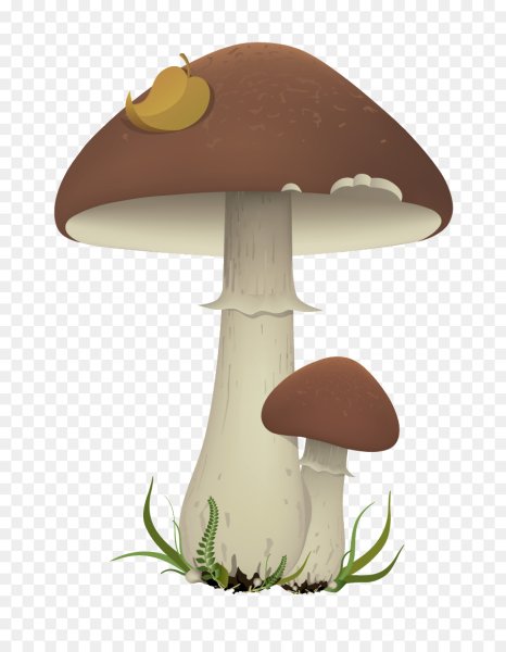 Грибочки для детей