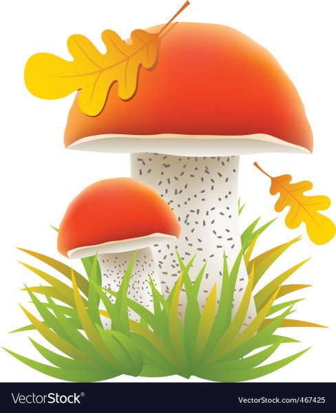 Векторные грибы