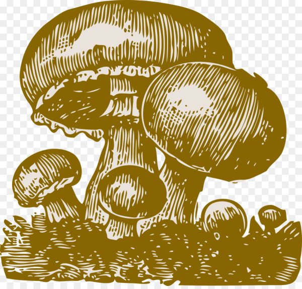 Векторные грибы