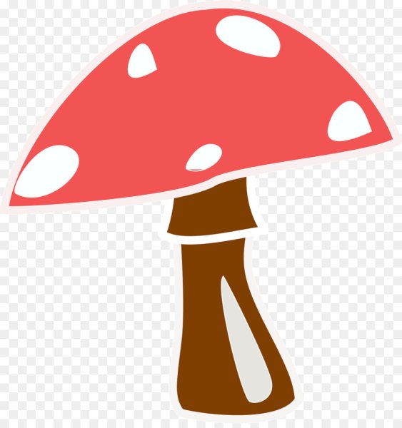 Шляпка мухомора