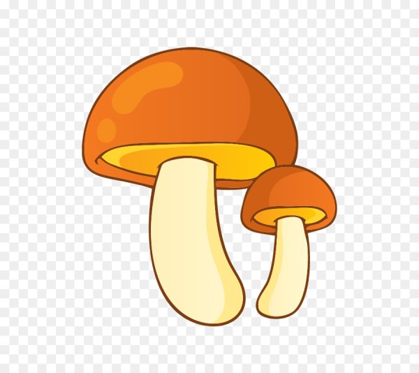 Гриб Mushroom Машрум