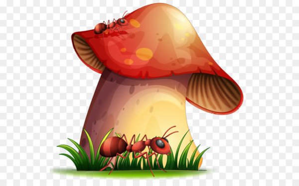 Грибы Векторная Графика