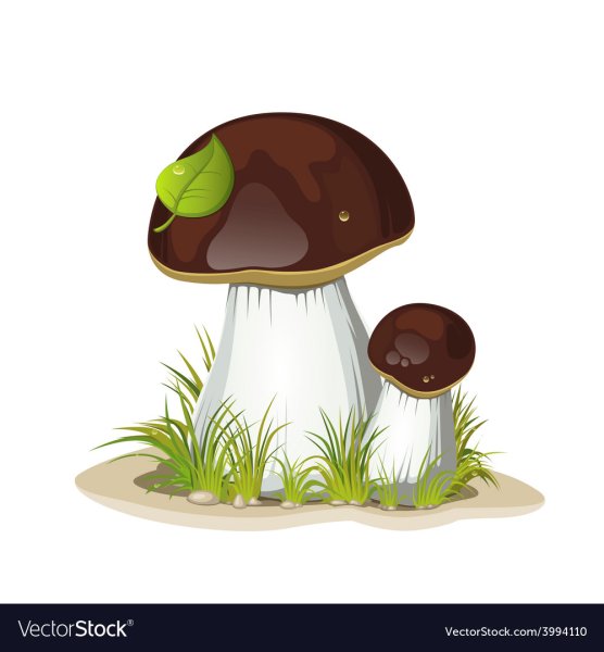 Белый гриб мультяшный