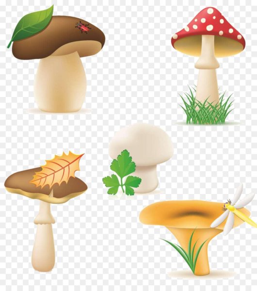 Съедобные грибы клипарт