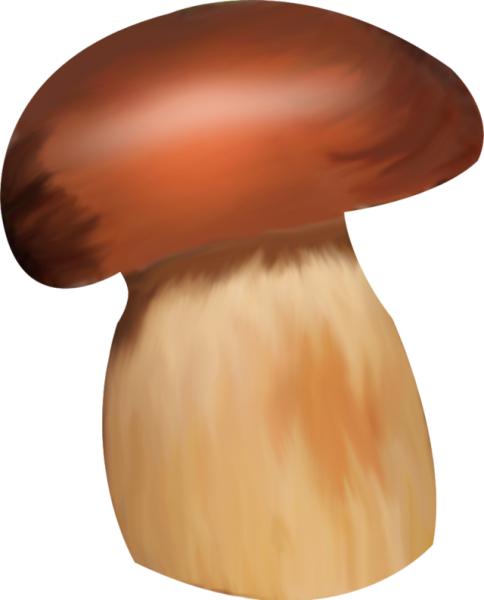 Грубый ребенок