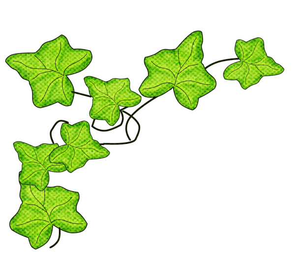 Плющ узор