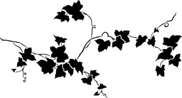 Плющ Графика