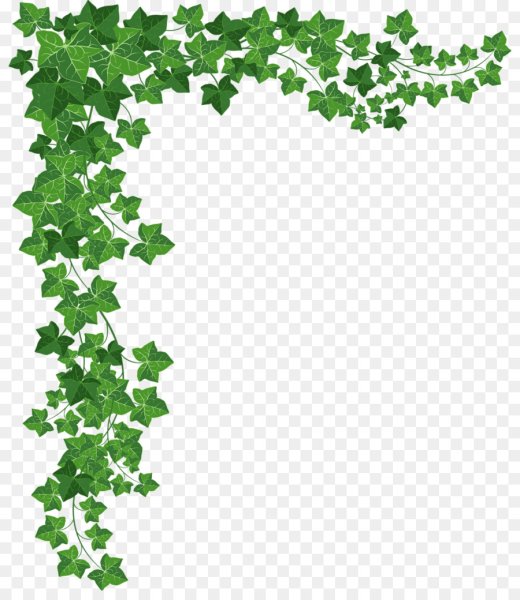 Рамка зеленые листочки