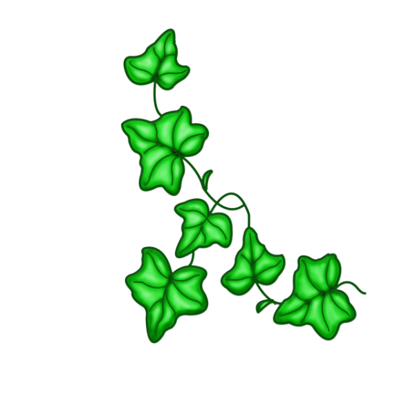 Плющ для детей