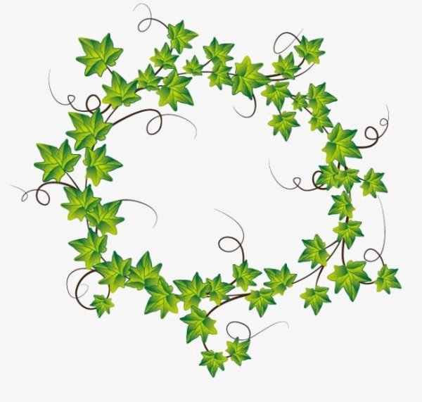 Плющ по кругу