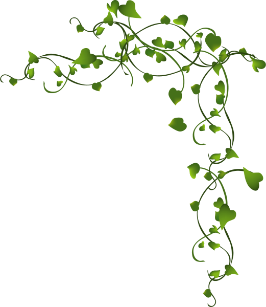 Лоза на белом фоне