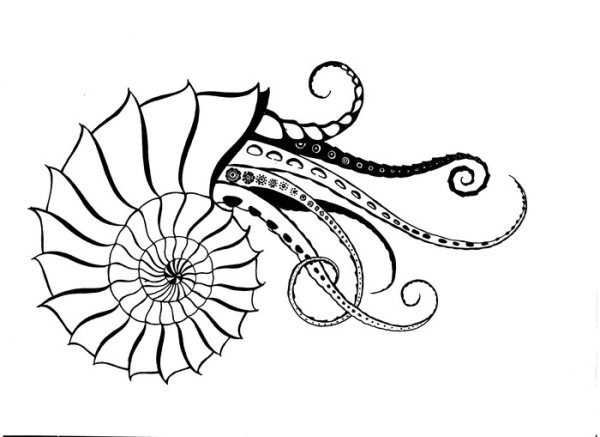 Аммонит Графика