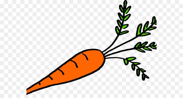 Листья морковки вектор