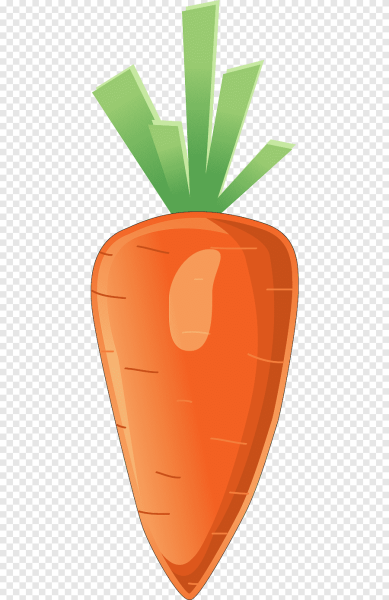 Морковь для дошкольников