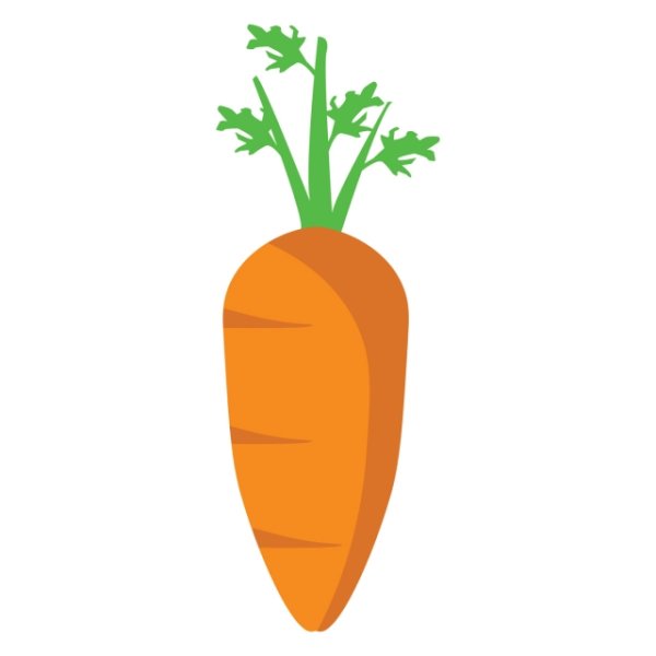 Морковь вектор
