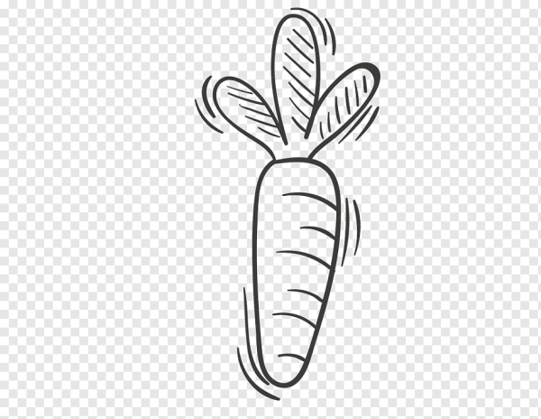 Морковь Графика