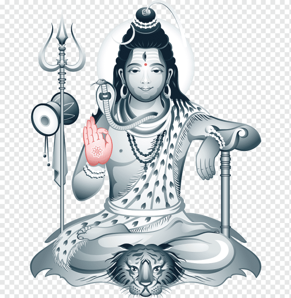 Шива вектор