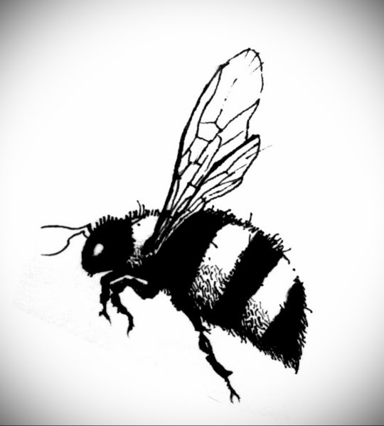 Пчела Графика