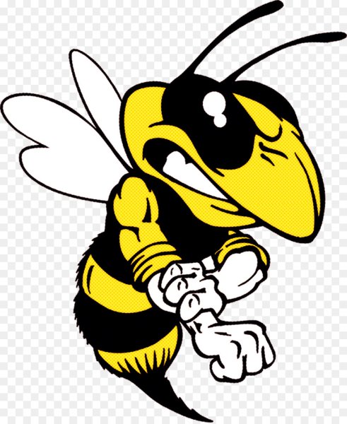 Злой Шершень