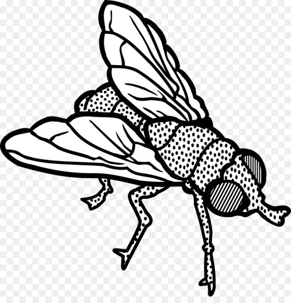 Насекомые контур