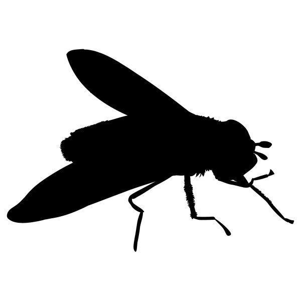 Силуэты насекомых