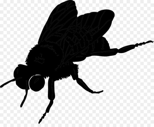Муха вектор
