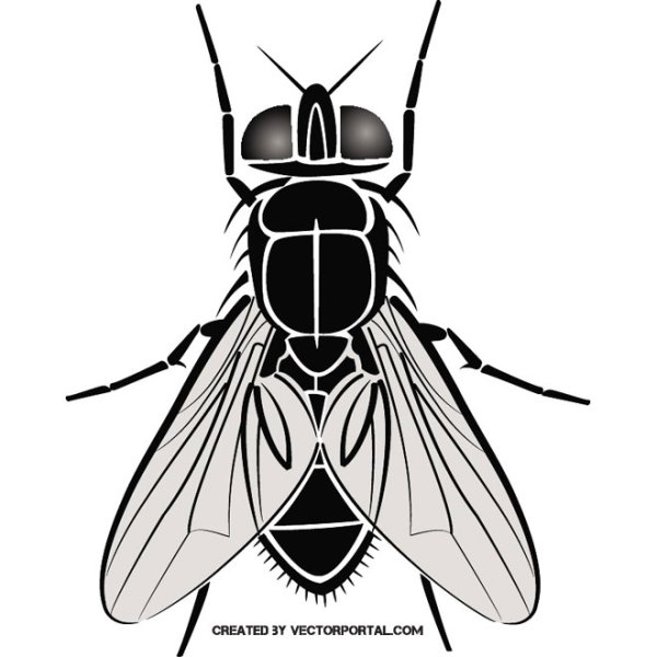 Муха стилизация
