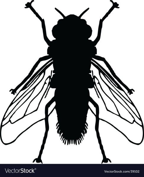 Муха вектор силуэт